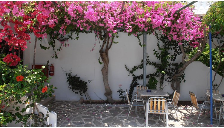 Loutanis Hotel - NR, Родос